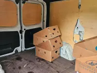 Gebraucht Renault Trafic 95 PS (69 kW) 2019 Weiß Van / Kleinbus
