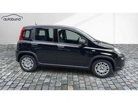 Gebraucht Fiat Panda 69 PS (50 kW) 2024 Kleinwagen