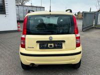 Gebraucht Fiat Panda Dynamic 60 PS (44 kW) 2009 Gelb Kleinwagen