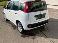 gebraucht Fiat Panda New1,2 Klima TÜV 2025 Rentnerfahrzeug