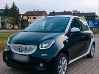 Gebraucht Smart ForFour Basis 75 PS (55 kW) 2017 Andere farben Kleinwagen