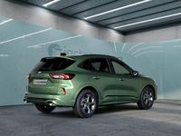 Gebraucht Ford Kuga ST-Line 186 PS (136 kW) 2024 Grün SUV