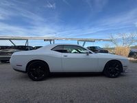 Occasion Dodge Challenger 381 ch (280 kW) 2019 Blanc Coupé