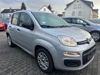 Gebraucht Fiat Panda Easy 69 PS (50 kW) 2018 Grau Kleinwagen