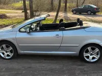 Gebraucht Peugeot 307 135 PS (99 kW) 2003 Silber Kleinwagen