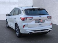 Gebraucht Ford Kuga ST-Line 150 PS (110 kW) 2023 Arktisweiß (metallic) SUV