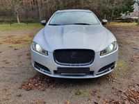 gebraucht Jaguar XF S