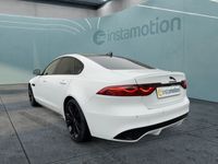 Gebraucht Jaguar XF R-Dynamic 204 PS (150 kW) 2024 Weiß Limousine
