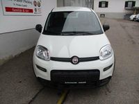 Gebraucht Fiat Panda 69 PS (50 kW) 2024 Colore esterno (weiss) Kleinwagen