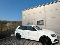 Gebraucht Audi SQ5 Competition 326 PS (239 kW) 2017 Weiß SUV