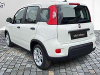 Gebraucht Fiat Panda 69 PS (50 kW) 2024 Weiss / gelatoweiss Kleinwagen