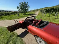 Gebraucht Alfa Romeo Spider Veloce 126 PS (92 kW) 1982 Rot Cabrio