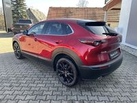 Neu Mazda CX-30 140 PS (102 kW) 2026 Rot SUV