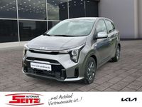 Neu Kia Picanto Vision 63 PS (46 kW) 2025 Astro grey m (grau) Kleinwagen