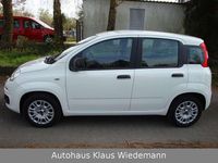 Gebraucht Fiat Panda Easy 69 PS (50 kW) 2017 Gelato  weiß Kleinwagen