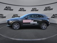 Gebraucht Mazda CX-30 Selection 150 PS (110 kW) 2023 Machine gray (metallic) SUV