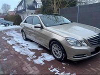 Gebraucht Mercedes E220 Elegance 170 PS (125 kW) 2012 Gelb Limousine