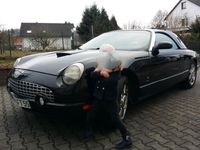 gebraucht Ford Deluxe Thunderbird 2004