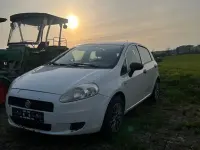 Gebraucht Fiat Punto Evo 69 PS (50 kW) 2012 Weiß Kleinwagen