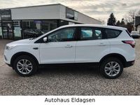 Gebraucht Ford Kuga Titanium 150 PS (110 kW) 2018 Weiß SUV