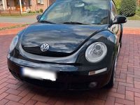 gebraucht VW Beetle United Cabrio Klima,Leder