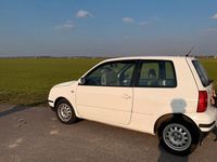 Gebraucht VW Lupo 75 PS (55 kW) 2001 Weiß Kleinwagen