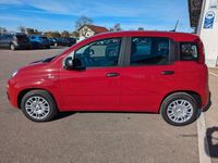 Neu Fiat Panda 69 PS (50 kW) 2025 Rot Limousine