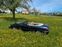 Gebraucht Volvo C70 163 PS (119 kW) 2002 Blau Cabrio