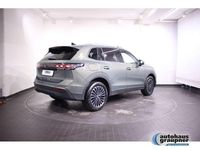 Gebraucht VW Tiguan Goal 150 PS (110 kW) 2025 Grün / cipressino grün SUV