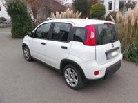 Gebraucht Fiat Panda 69 PS (50 kW) 2024 Weiß Kleinwagen