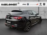 Neu Alfa Romeo Stelvio 280 PS (205 kW) 2025 Metallic SUV
