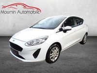 Gebraucht Ford Fiesta Trend 71 PS (52 kW) 2018 Weiß Kleinwagen