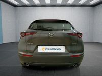 Gebraucht Mazda CX-30 140 PS (102 kW) 2025 Grau SUV