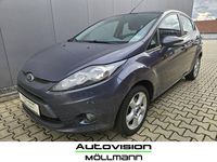 Gebraucht Ford Fiesta Trend 82 PS (60 kW) 2011 Grau Kleinwagen