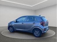 Neu Kia Picanto Vision 68 PS (50 kW) 2026 Grau (astro grey) Kleinwagen