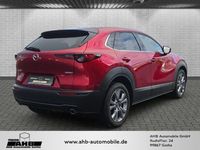 Gebraucht Mazda CX-30 Exclusive-Line 150 PS (110 kW) 2023 Soul red crystal m SUV