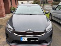 Gebraucht Kia ProCeed GT 204 PS (150 kW) 2019 Grau Kombi