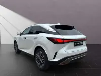 Gebraucht Lexus RX350h Executive Line 250 PS (183 kW) 2026 Sonic white SUV