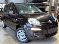 Gebraucht Fiat Panda Easy 69 PS (50 kW) 2020 Schwarz Kleinwagen