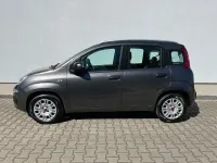 Occasion Fiat Panda Easy 69 ch (50 kW) 2019 Gris Citadine
