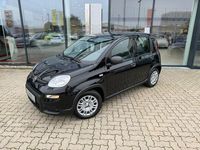 Gebraucht Fiat Panda 69 PS (50 kW) 2024 Schwarz Limousine