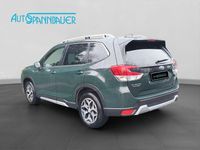 Gebraucht Subaru Forester Active 150 PS (110 kW) 2023 Grün SUV