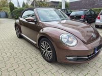 Gebraucht VW Beetle Allstar 105 PS (77 kW) 2016 Braun Kleinwagen