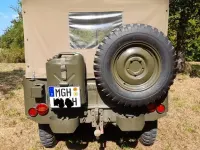 Gebraucht Jeep Willys 72 PS (52 kW) 1958 Grün SUV