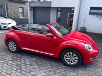 gebraucht VW Beetle Design BMT