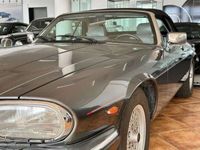 gebraucht Jaguar XJS V12 cabrio, sehr gepflegt