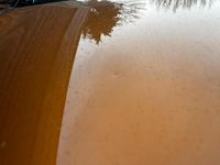 Gebraucht Renault Captur 131 PS (96 kW) 2020 Orange SUV