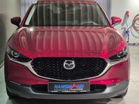 Gebraucht Mazda CX-30 Selection 122 PS (89 kW) 2022 Rot SUV