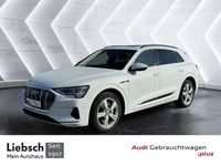 Gebraucht Audi e-tron Advanced Plus 264 kW (360 PS) 2019 Gletscherweiß metallic SUV