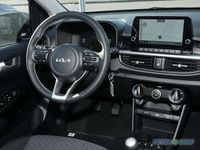 Neu Kia Picanto Vision 68 PS (50 kW) 2026 Astrograu met. Kleinwagen